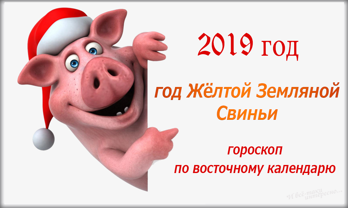 Поздравления С Новым Годом Годом Свиньи По Восточному Гороскопу